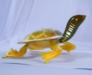 Động Vật Sừng 16