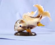 Động Vật Sừng 19