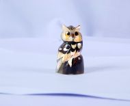 Động Vật Sừng 30