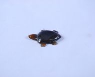 Gác Đũa Sừng 37