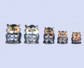 Động Vật Sừng 1