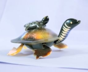 Động Vật Sừng 15