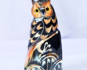 Động Vật Sừng 26