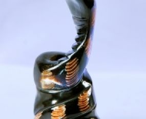 Động Vật Sừng 61