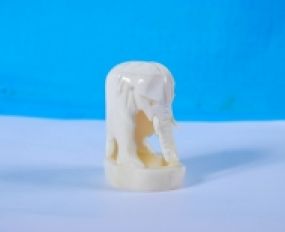 Động Vật Sừng 67