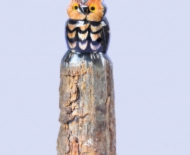 Động Vật Sừng 6