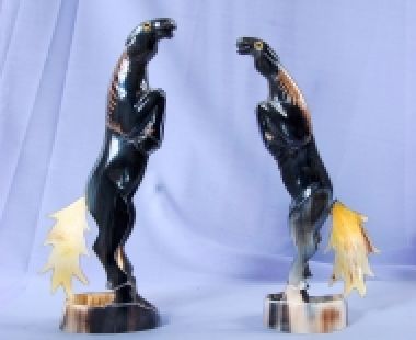 Động Vật Sừng 23