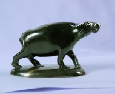 Động Vật Sừng 24