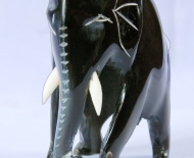 Động Vật Sừng 32