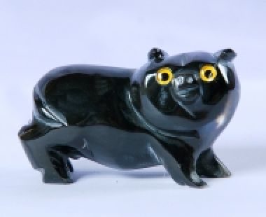 Động Vật Sừng 48