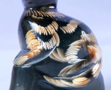 Động Vật Sừng 54