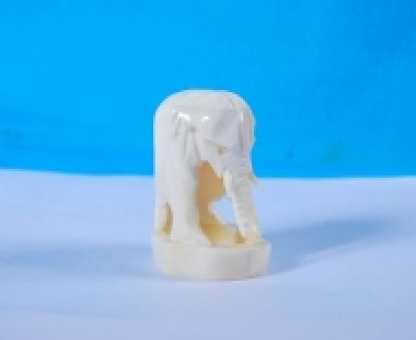 Động Vật Sừng 67