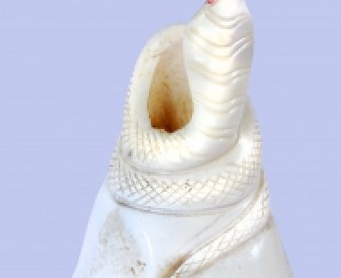 Động Vật Sừng 73