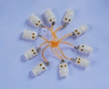 Móc Khóa Sừng 13